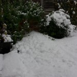 Drifts of snow which dropped from the roof