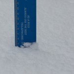 Depth of the snow on the grass