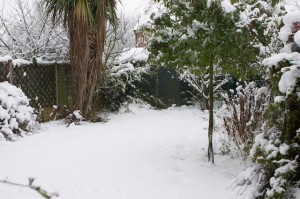 Snow on the Lawn