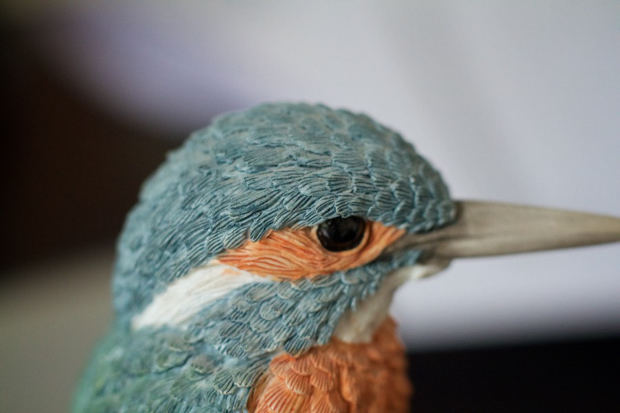 Kingfisher ornament